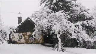 "Без массовки" Дмитрий Манылов
