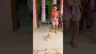Little baby feeds her hungry kittens #cat