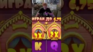 Заносит в Dog House 9.000.000