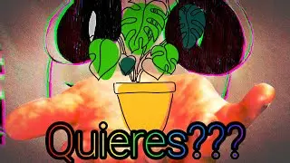 Las plantas son GOD