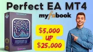 Perfect EA MT4 Backtest 2024 | FX STORE EA
