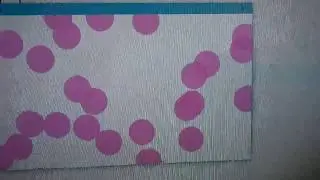 Random Circles with No Overlap Translated into Processing