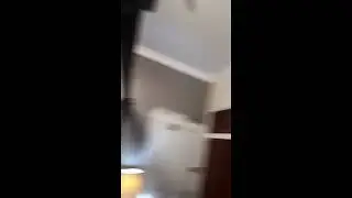 Insects found on a bed at a Rochdale asylum seeker hotel