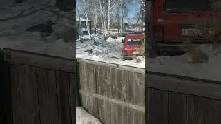мои профиля.