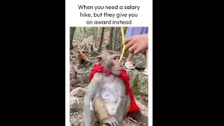 Do you relate to this? credit: Original Creator
