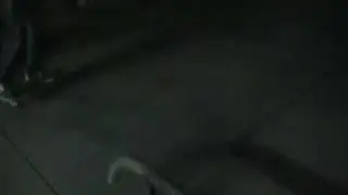andre(back boards)