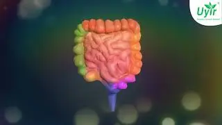Things about Intestine that will make your life better!