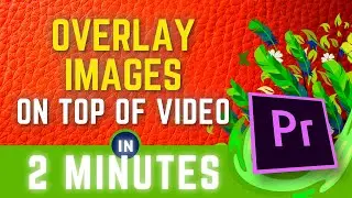 Add Image Over Video Premiere Pro | Overlay Transparent Images On Video