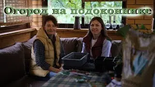Огород на подоконнике I Сад Людмилы Кудасовой
