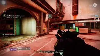 Lucky Skunk Counter Invasion