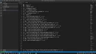 C Programming - 2.4 Preprocessor
