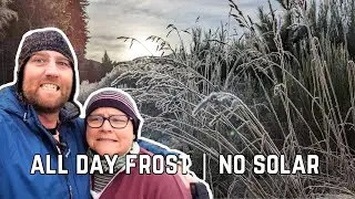 Struggling in winter conditions |  Hanmer springs