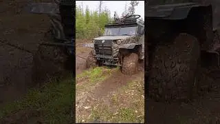 продолжаются приключения
