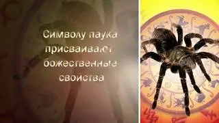 слайдшоу Тотем 2020