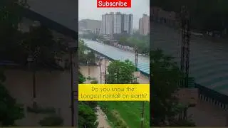 Longest Rainfall on Earth Ever 🤯⛈️🌦️ #rain #monsoon #facts