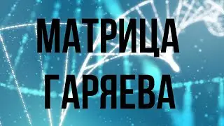 Матрица Гаряева  работа на почки