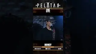 [Teaser] Honey // PELATAR LIVE