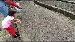 Sembrando Maguey