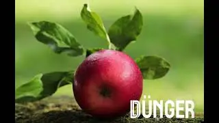 Подбайте про врожай із добривами DUNGER