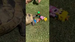 Принцесса Пичез спасает Супер Марио (оригинальный звук) 