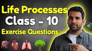 Life Processes class 10 Questions & Answers Science Biology | CBSE NCERT | Exercise Questions