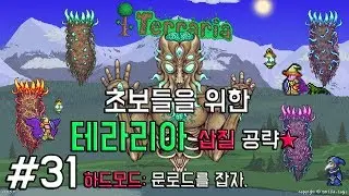 [테라리아 공략] 초보들을 위한 공략(는 뻥:혼자 놀기) #31 문로드를 잡아봅시다.(리얼 공략.)