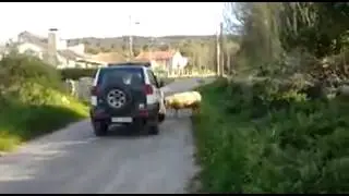Guardia Civil VS Carnero!! Jajaja