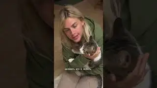 Сева опять напала🤦🏼‍♀️ в этот раз на папу дзена😂 вот так и живем! Как думаете подружаться?