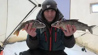 Еще один выезд за сигом. Не ГОРЫ рыбы конечно, но рыбалка была отличная