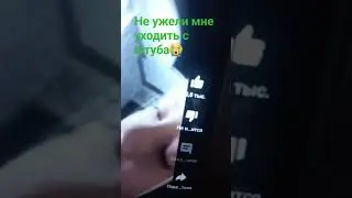 23 ноября 2023 г.