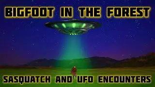 BIGFOOT IN THE FOREST - SASQUATCH AND UFO ENCOUNTERS