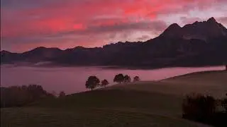 Timelapse Collection by creativegeeks