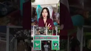 10 MOMEN APES AKIBAT TELEDOR BIKIN SAKIT HATI