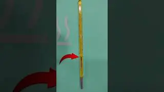 How to use Mercury Thermometer | How to check tamprature with mercuy thermometer