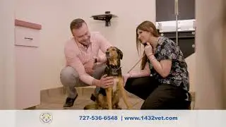 Belcher Animal Hospital 2024 TV Commercial