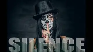 Ron vs Sarah Mc Lachlan - Silence