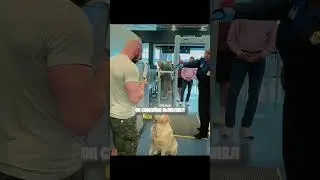 Этого пса не хотели пускать в самолет ✈️💔
