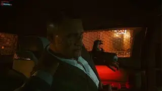 Cyberpunk 2077 Bug Problem......