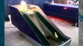 Прикол утиный аквапарк смеялся полчаса