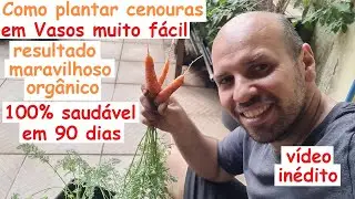 Plante Cenouras em vasos muito fácil resultado maravilhoso em 90 dias. deliciosas.