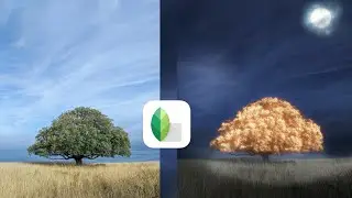 GOLDEN TREE Image Photo editing tutorialSNAPSEED | SNAPSEED TUTORIAL | Android| iPhone