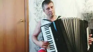 Белым снегом на аккордеоне (аккордеон кавер) Аккордеонист
