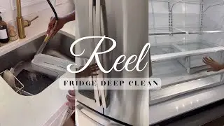 Fridge Deep Clean|TheCassanEdit