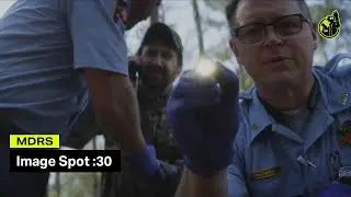Head and Spinal Injury Prevention Commercial | MDRS
