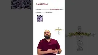 2022 TYT BİYOLOJİ MAYA MANTARI SORUSU BARIŞ HOCA DOKTOR BİYOLOJİ