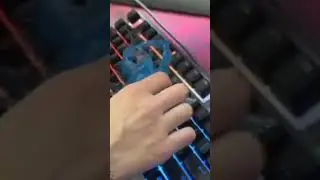 😱ДЕВУШКА ДОМЕРА РЕШИЛА ПОЧИСТИТЬ КЛАВИАТУРУ ДОМЕРА😱 