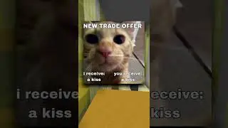 More Wholesome Memes