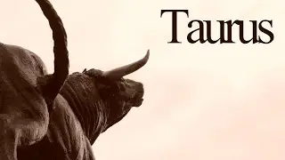 Taurus Traits and Personality | Zodiac Sign Focus 