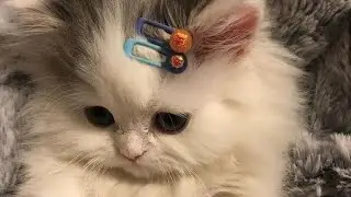 КЛАССНЫЕ ВЕЩИ В ТОКЕ ♡