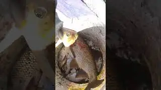 Рыбалка удалась